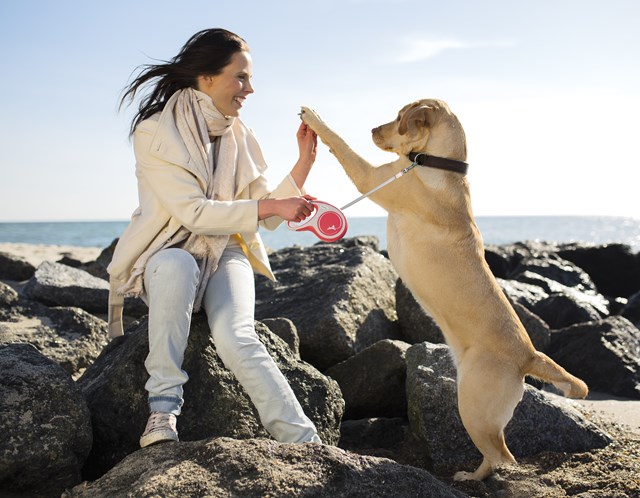 Flexi New Comfort Kobbel Med Bånd 5 m - Rød