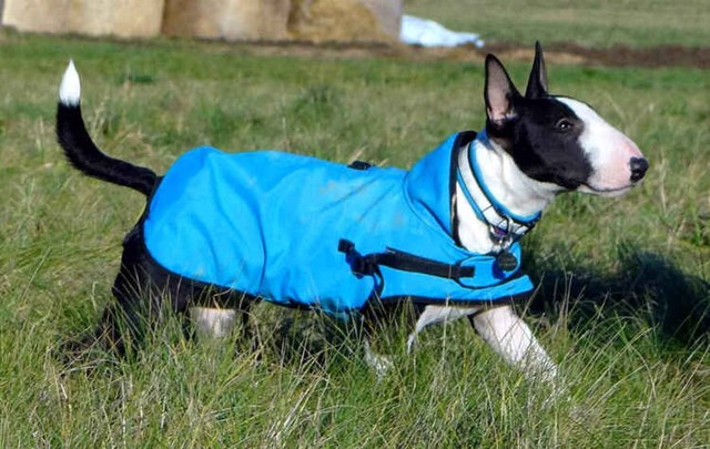 Zero DC Regndekken Turkis