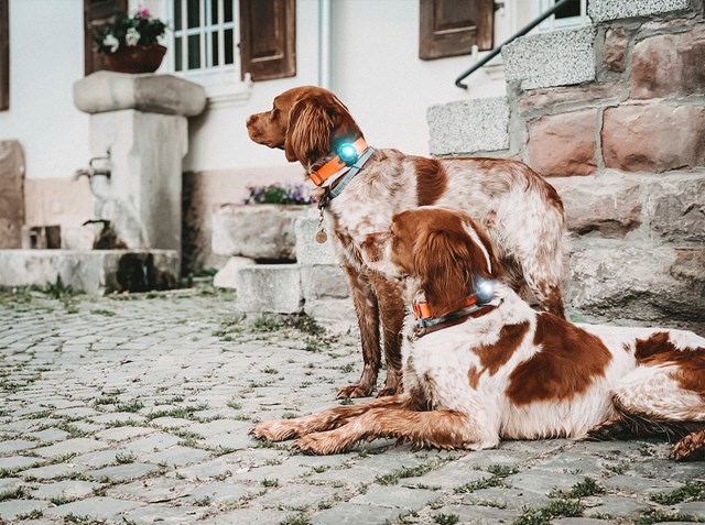 Orbiloc Safety Light Turkis