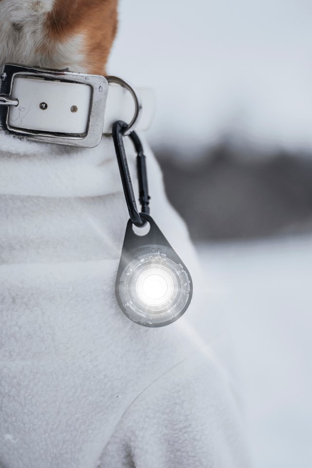 Orbiloc Safety Light Hvit