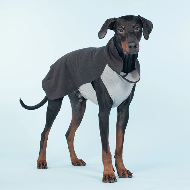 Recovery Winter Shirt Grey