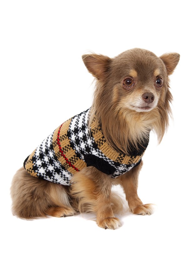 Autumn - Strikket Hundegenser