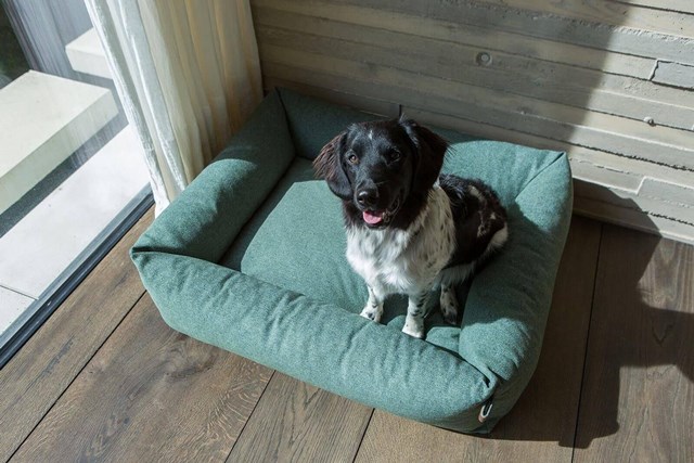 Fantail Snug Ortopedisk Hundeseng - Botanical Green