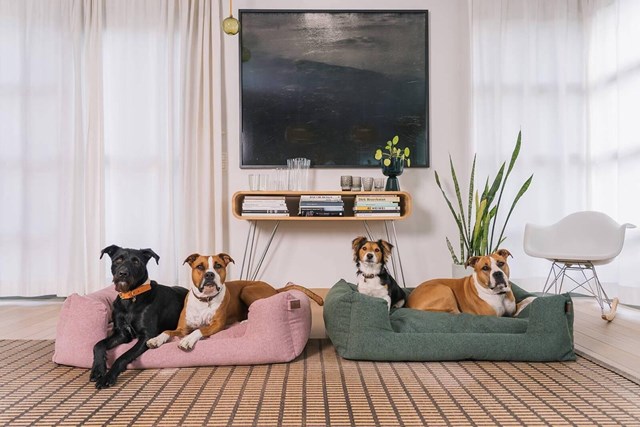 Fantail Snooze Ortopedisk Hundeseng - Iconic Pink