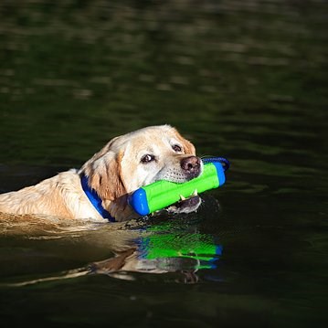 Amphibious Bumper Dummy