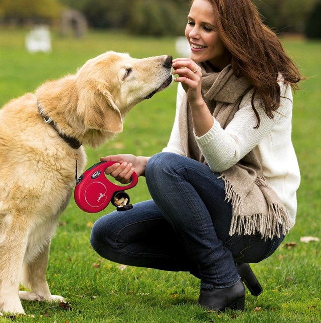 Flexi New Classic Kobbel Med Bånd 3 m - Rød