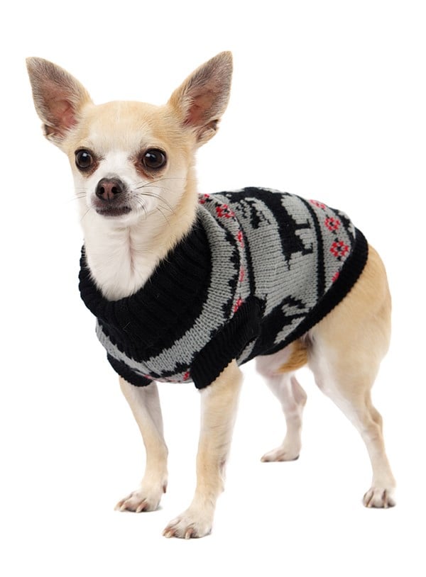 Nordic Reindeer - Strikket Hundegenser