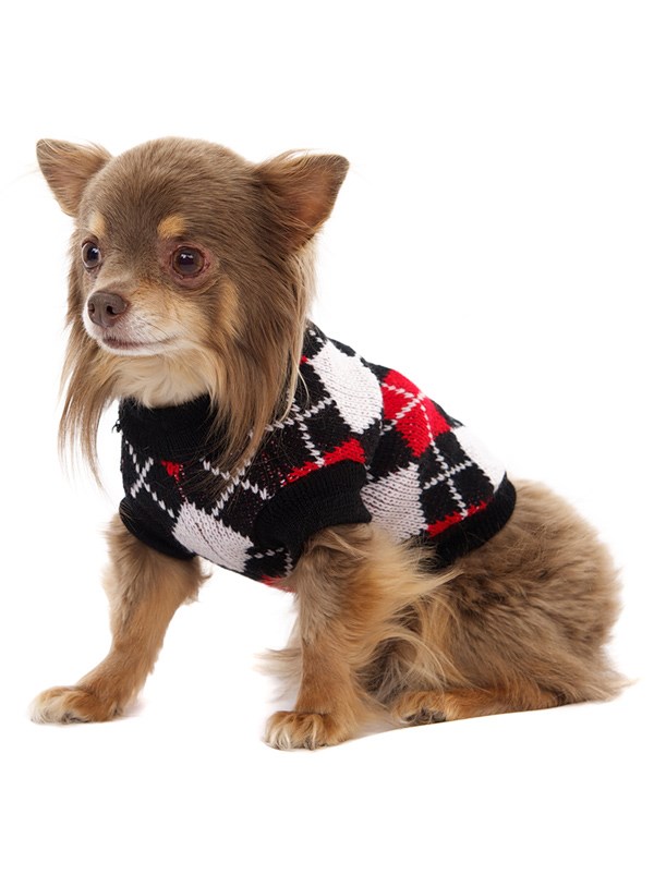 Red & Black Argyle - Strikket Hundegenser