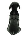 Jet Black Soft Mesh Hundesele