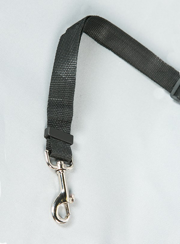 Framsetebeskyttelse for hund