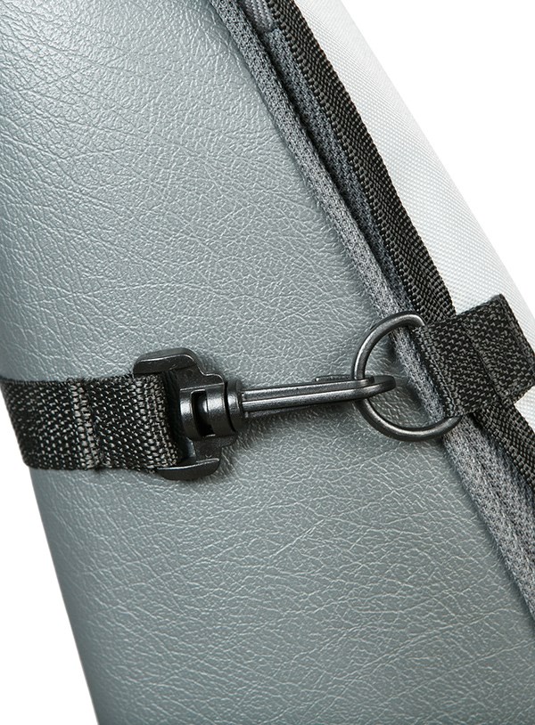 Framsetebeskyttelse for hund