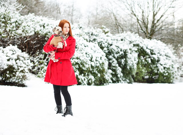 Brown Waffle Textured Strikket Hundegenser