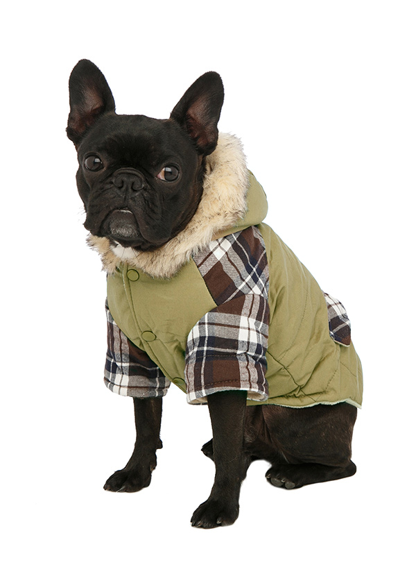 Bremar Tartan Trimmed - Hundejakke