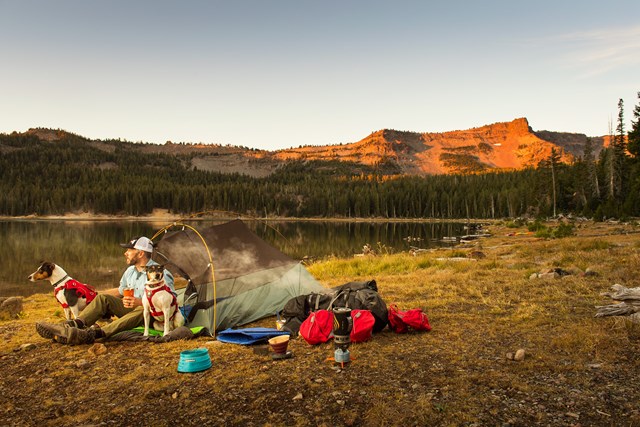 Palisades Pack Hundekløv - Rød