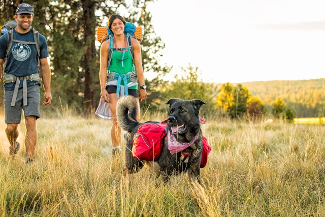 Palisades Pack Hundekløv - Rød