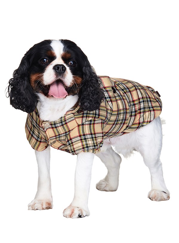 Brown Tartan Coat Hundejakke