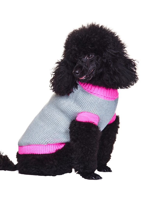 Pink Paw Sweater - Strikket Hundegenser