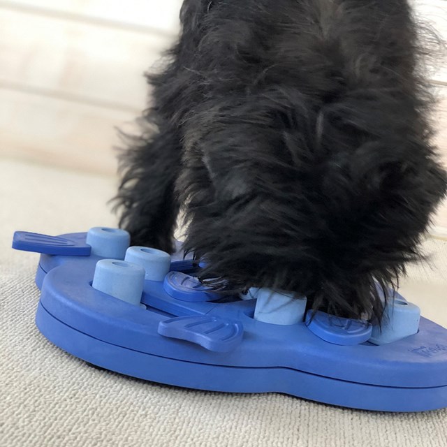 Nina Ottosson Hide N Slide Kompositt Lilla Aktiveringsleketøy