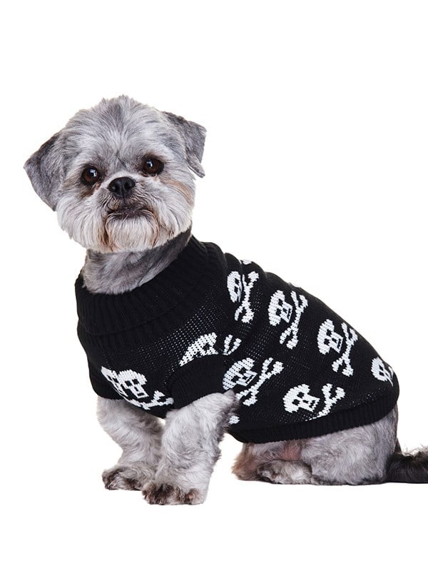 Black Skull - Strikket Hundegenser