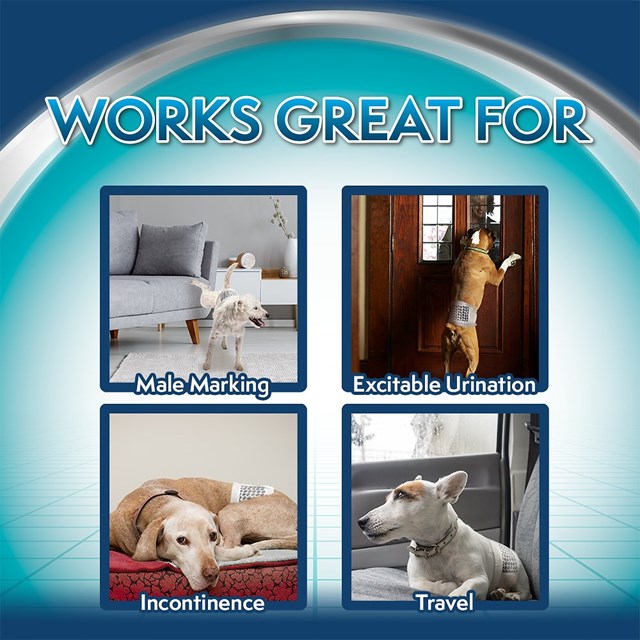 Markeringsbeskyttelse - 12 stk engangsbeskyttelse - Small