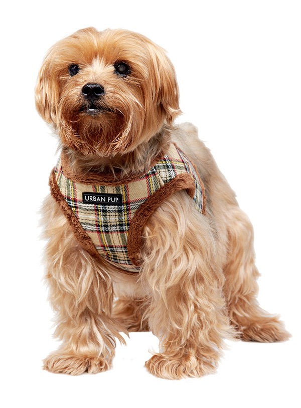 Luxury Fur Lined Brown Tartan - Hundesele