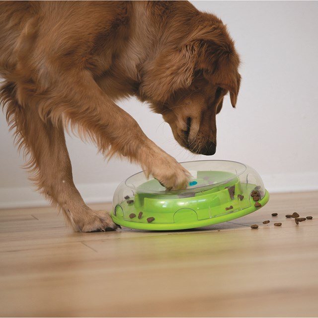 Outward Hound Dog Wobble Bowl Aktiveringsleketøy