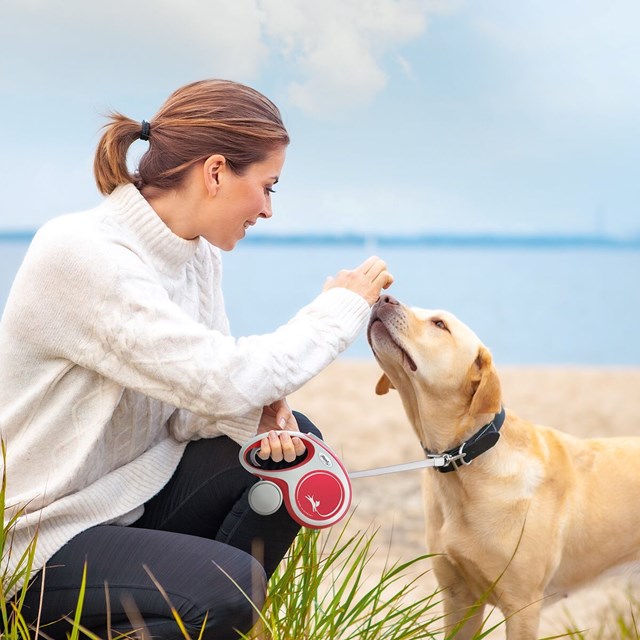 Flexi New Comfort Kobbel Med Bånd 5 m - Rød