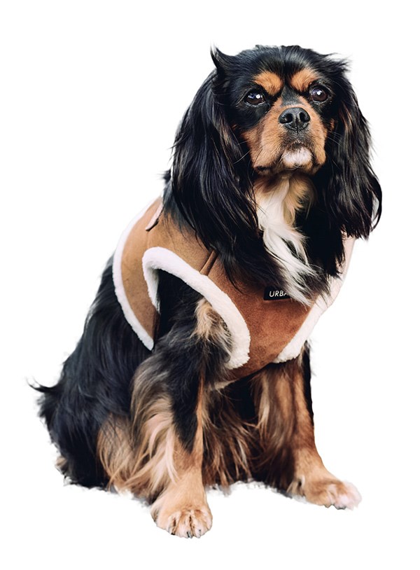 Luxury Brown & Cream Faux Shearling Hundesele