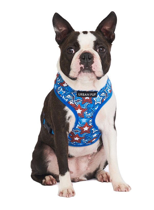 Hero Star - Hundesele
