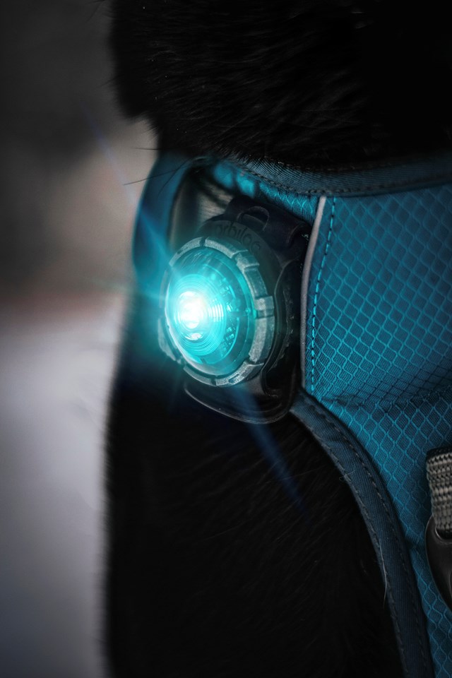 Orbiloc Safety Light Turkis