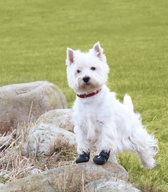 Walker Active Protective Boots