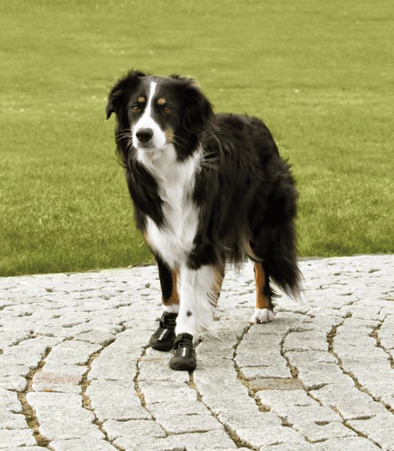 Walker Active Protective Boots