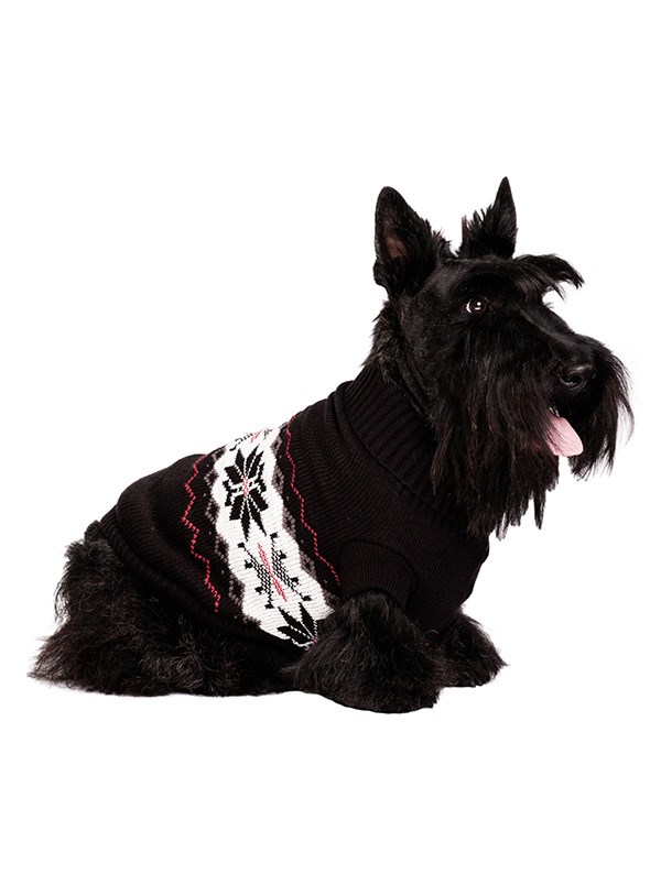 Black Snowflake - Strikket Hundegenser