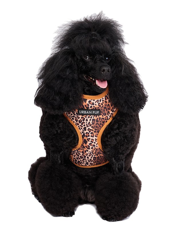 Cheetah Print Brown Harness