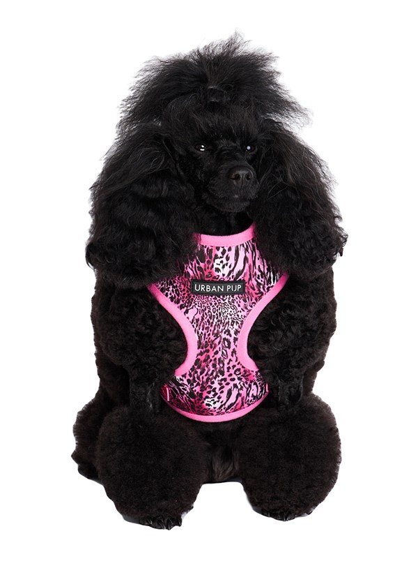 Pink Leopard Print Hundesele