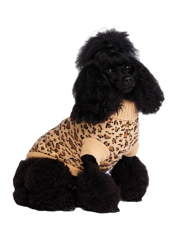 Leopard Print – STRIKKET HUNDEGENSER