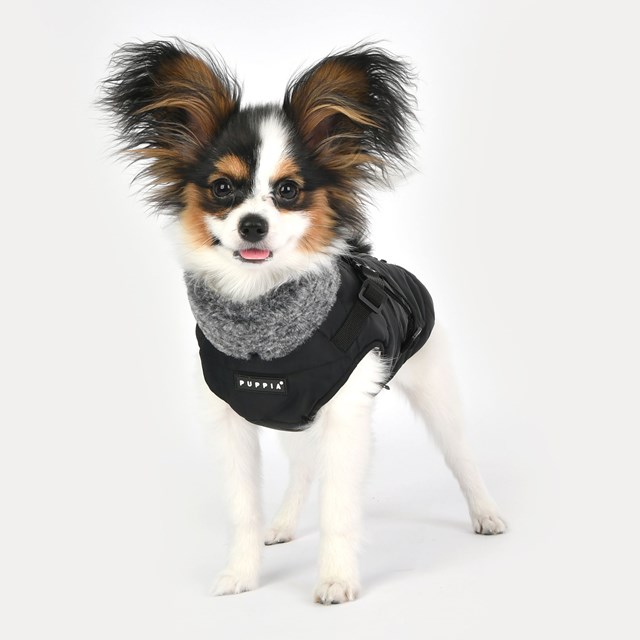DONAVAN BLACK - DOG JACKET