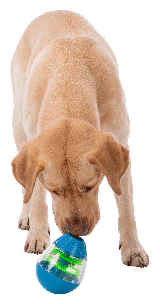 Roly Poly Snacksegg - Aktiveringsleke