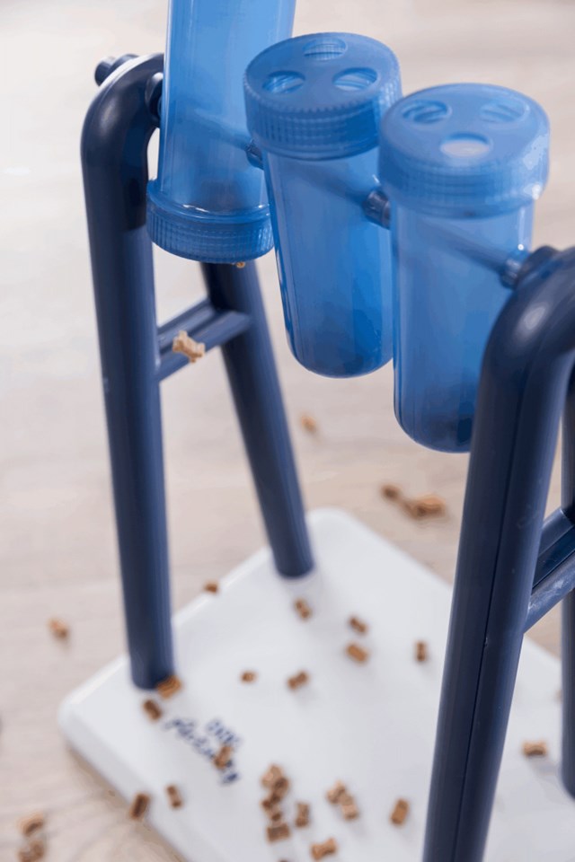 Turn Around Nivå 2 - Aktiveringsleke