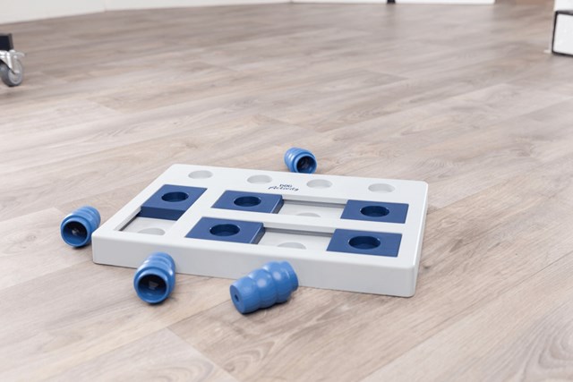 Schack - Aktiveringsleke