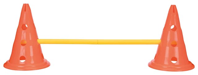 Dog Activity Agility Hindersett