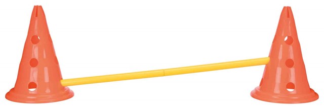 Dog Activity Agility Hindersett