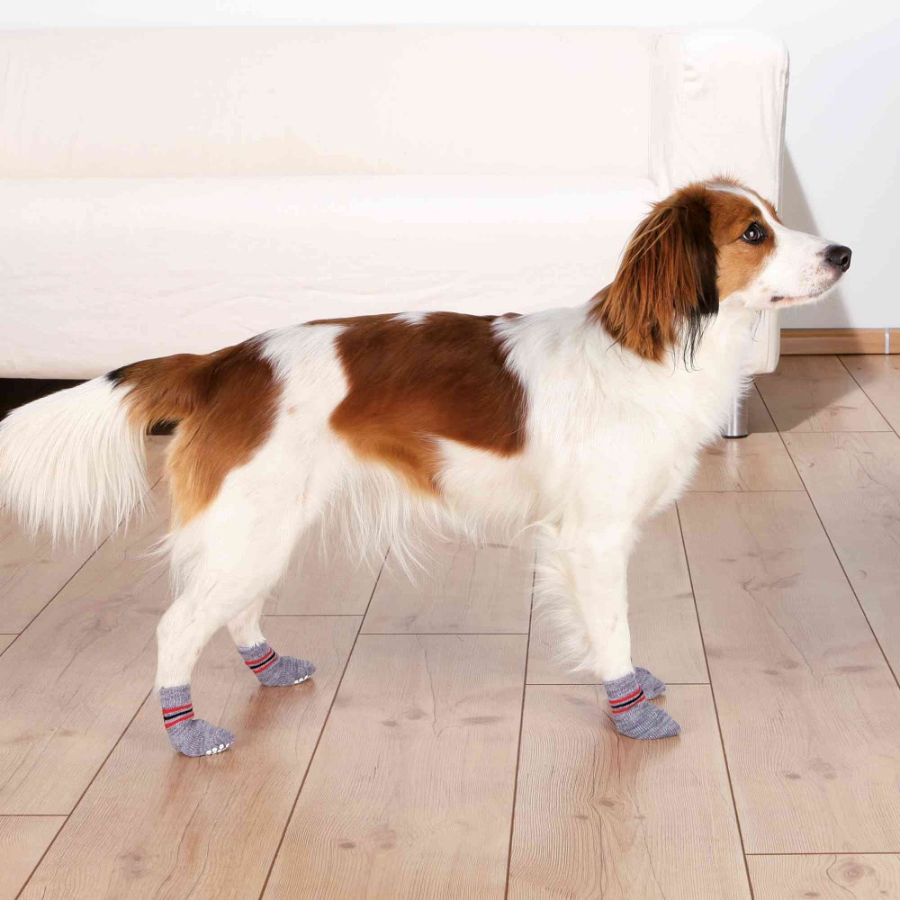 Hundesokker med antiskli 2 pack - Grå - Rask levering & 14 dagers åpent ...