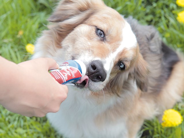 PREMIO Baconpaté Tube 110 g