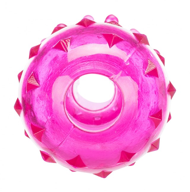 Dog Activity Snack Apport