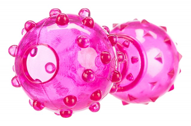 Dog Activity Snack Apport