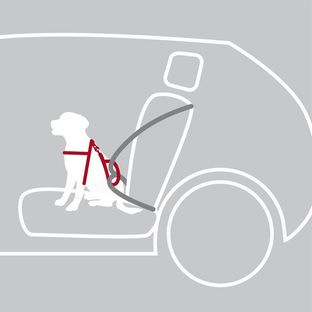 Bilsele Dog Protect - Svart