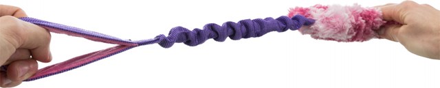 Bungee Fun - Draleke