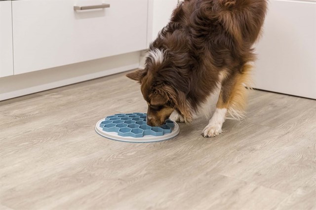 Slow Bowl - Bee blue