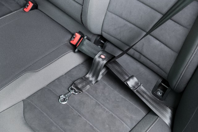 Universalfeste til bilsele 27 cm/45 mm - Svart